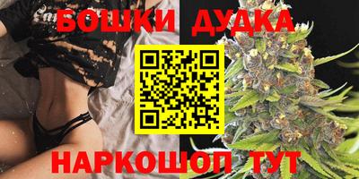 гидра Аргун
