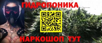 гидра Аргун