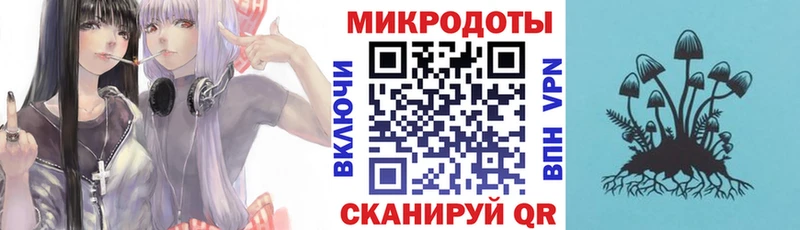 закладки  Апшеронск  Псилоцибиновые грибы Psilocybine cubensis 