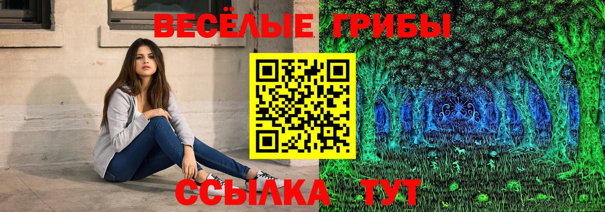 закладка  Галлюциногенные грибы Psilocybine cubensis  Вход с VPN  Апшеронск  Псилоцибиновые грибы GOLDEN TEACHER 