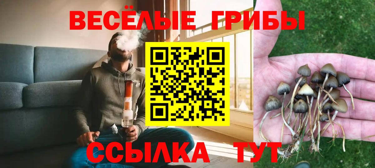 Псилоцибиновые грибы прущие грибы Апшеронск